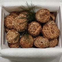 [버섯결] 안동 초가송이버섯 선물형 화고1kg