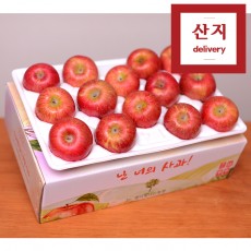 아삭아삭한 경북 사과 3kg 14~17과(중소~소과) 정품