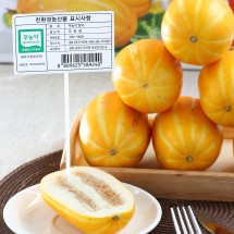 [무농약인증] 성주 관조참외 3kg