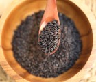 [도깨비곳간]예천 찰진주 500g / 1kg