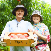 [임고마을] 부드러운 백도복숭아 3kg 복동이네농원