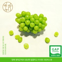 [한밝누리농원] GAP인증 샤인머스캣 2Kg (2-3수)