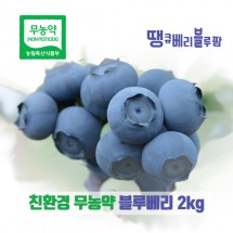 [가야산아래] 땡큐베리블루팜 블루베리2Kg 대과