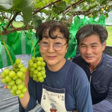 [자연담은농원], 샤인머스켓, 프리미엄 1.5kg / 4kg