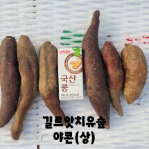 [길르앗치유숲] 2023년산 야콘 10Kg 상품