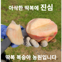 [고경마을] 당도자신감 4kg 딱복농원 털복숭아 20과