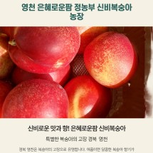 [은혜로운팜] ❤신비복숭아 과즙많고 향이좋은 당도또한 꿀과비교 할수없는 신비복숭아 2kg