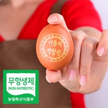 ［청라상회］무항생제 초란 신선계란60구 당일생산 당일출고  청라상회계란