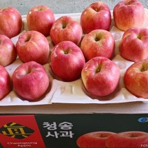 [청송남촌농원] 홍로 10kg 38-44과(중소)