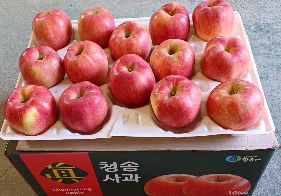 [청송남촌농원] 홍로 5kg 10-12과(특대)