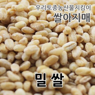 2024년 국산 밀쌀 우리밀 토종밀쌀 1kg