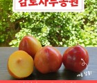 의성 추희자두 100~140g,선물용특과  [1.75kg,3.5kg]